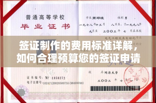 延寿签证制作的费用标准详解，如何合理预算您的签证申请成本